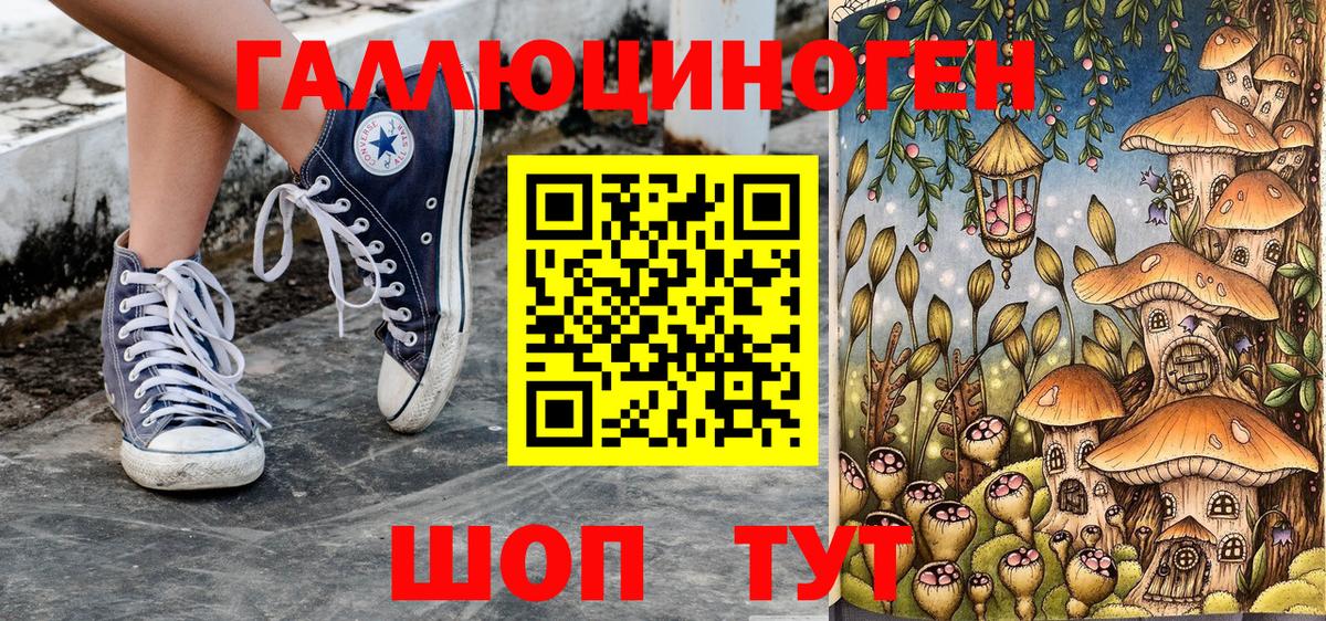 Галлюциногенные грибы GOLDEN TEACHER  Псилоцибиновые грибы Psilocybe  Реутов  Вход с VPN 